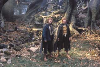 Oh, no!  The hobbits are shrinking!