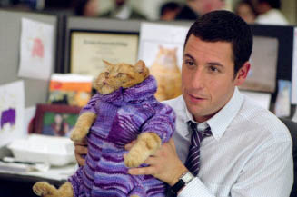 Here's a photo of Sandler just prior to his arrest for animal cruelty.