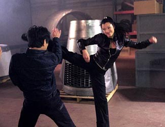 Kelly Hu rejects Jet Li but all he notices is how limber she is.