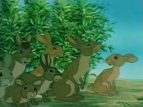 Bunnies, bunnies, it must be bunnies!
