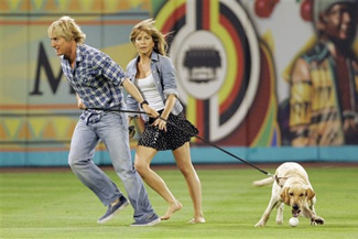 Ratings for that annual dog show would triple if all the dogs acted like this.