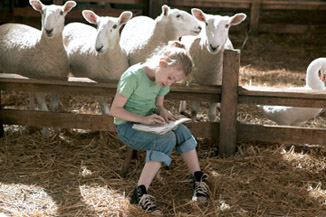 Counting sheep won't knock you out if you write them all down.