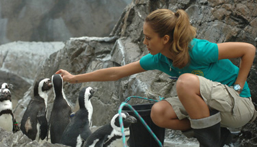 Jessica Alba *and* penguins? Why wasn't this movie a blockbuster?