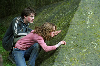 Harry and Hermione are still hanging around.