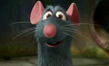 This is a rat, not Mirna.