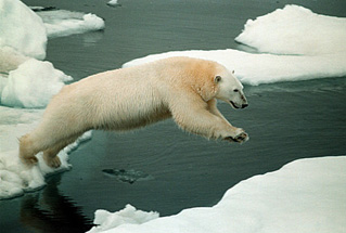 Rory Calhoun: loves fish, hates global warming