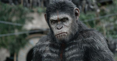 Caesar always looks like he thinks he's surrounded by smelly apes.
