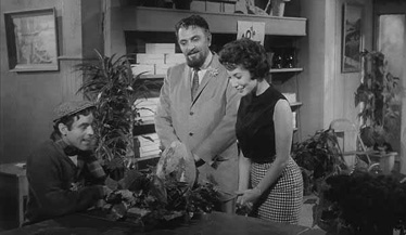 This movie is why I'm afraid of the plant that is taking over my desk at work.