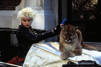 Madonna would find herself linked with the cougar again, later in life.