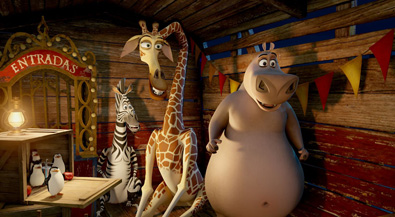 A zebra, a hippo and a giraffe walk into a bar,,,